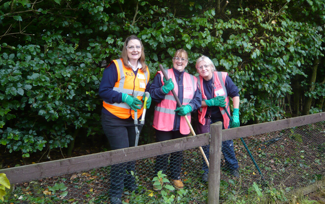 team-group-activities-volunteers-gardening