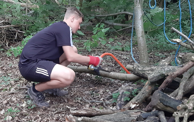 The Log Garden