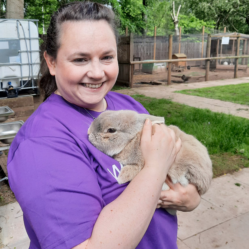 Telus-International-Bunny