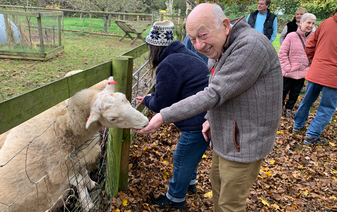 Older-man-feeding-sheep Nature4All-Poster-Kingswood-Trust