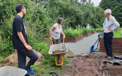 Volunteering leads to Greater Well-being